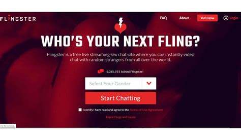 flingster paypal|Flingster Review 2023 .